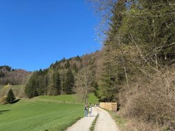 2025-04-wanderung-pfenningbach-06